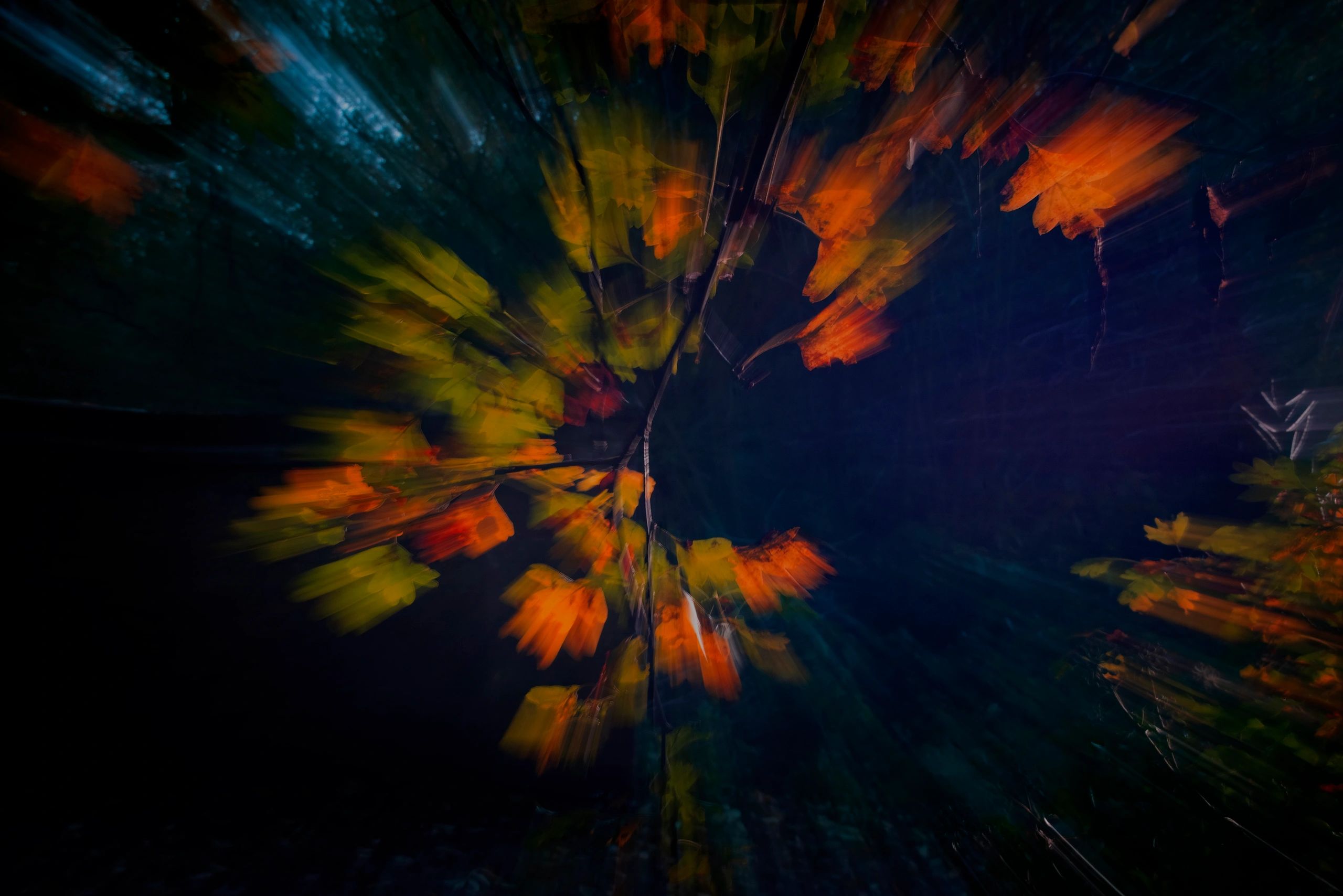 Creative abstract image inspired by an autumn nature reserve